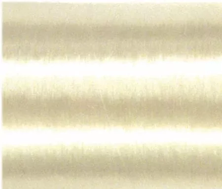 Mono Poly Invisible Thread Clear